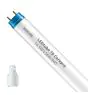 Philips Tube LED T8 CorePro (EM/Direct 230V) Standard Output 14.5W 1600lm - 840 Blanc Froid | 120cm - Équivalent 36W